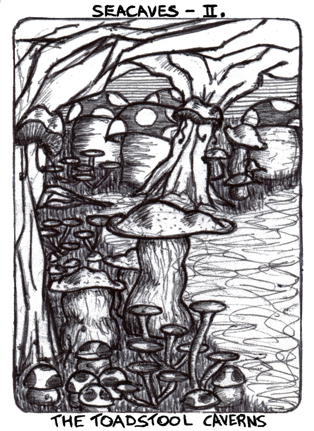 Story card, Seacaves II: The Toadstool Caverns. Pen drawing of a cavern crowded with giant toadstools.