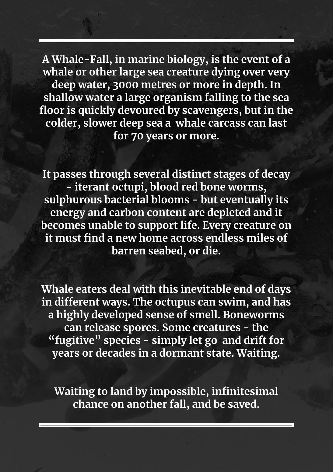 An Apocalypse Humdrum Among Long-Dead Cetacea - programme note, page 2 of 3